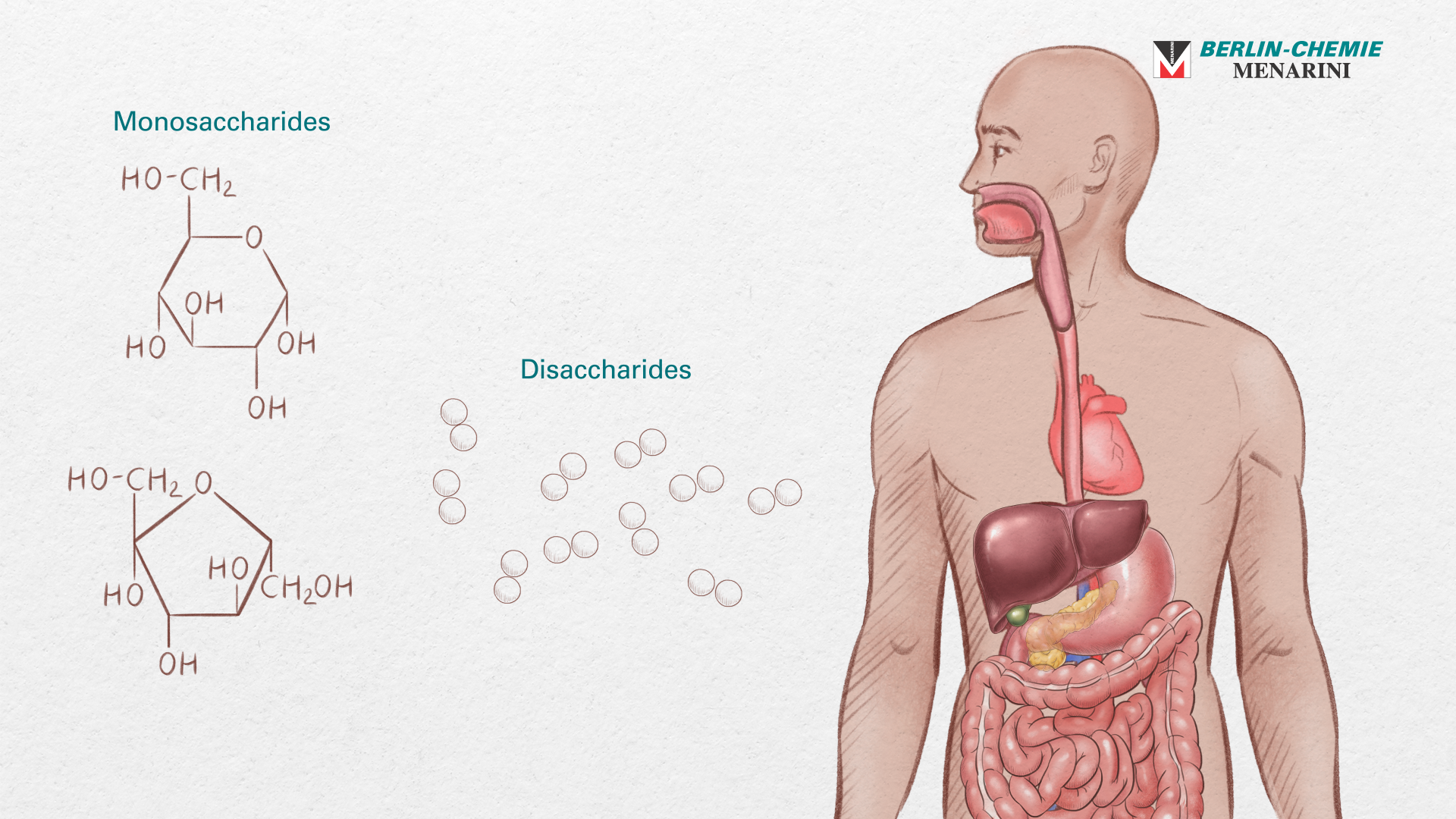 Unit 2 - Diabetes and Metabolism